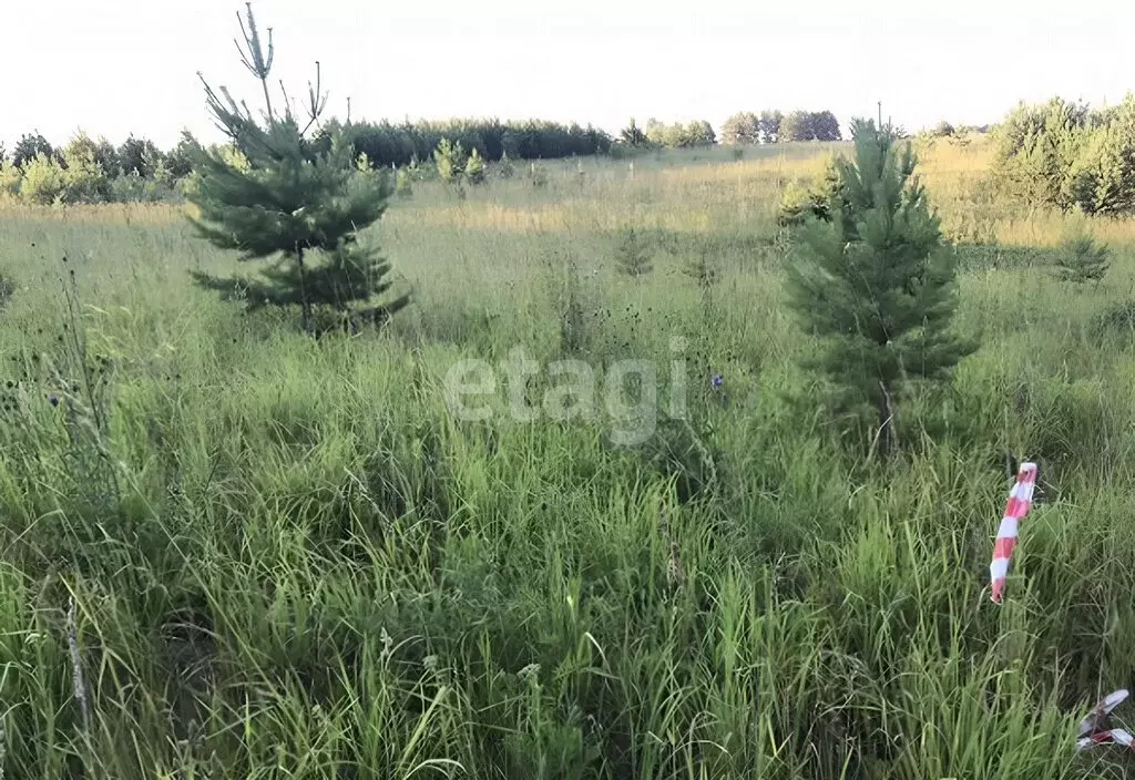 Участок в посёлок Минино, микрорайон Стожары (11.51 м) - Фото 2