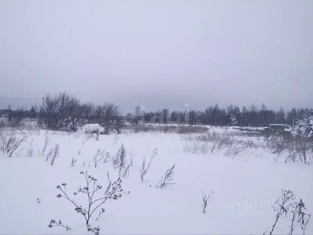 Участок в Тверская область, Калининский муниципальный округ, д. Старое ... - Фото 1