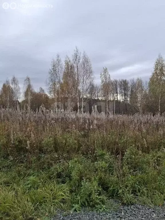 Участок в Томск, микрорайон Каменка, Тихая улица (6 м) - Фото 2