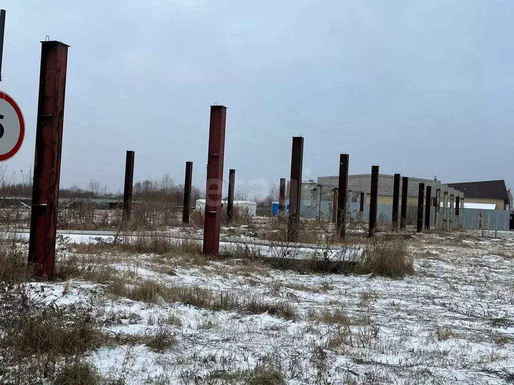 Участок в Курганская область, Шадринск пос. Новый, ул. Кооперативная, ... - Фото 2