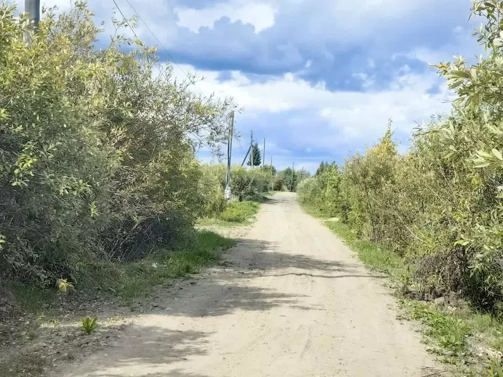 Участок в Тюменская область, Тюменский муниципальный округ, ... - Фото 1