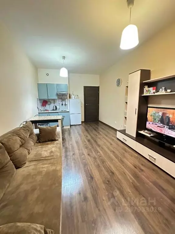 Студия Санкт-Петербург Комендантский просп., 66к3 (25.0 м) - Фото 0