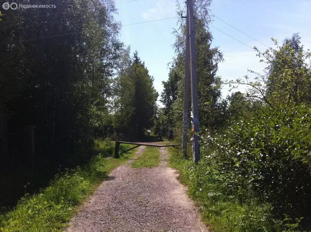 Участок в Кисельнинское сельское поселение, садоводческий массив ... - Фото 2