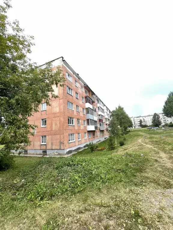 1-к кв. Пермский край, Лысьва ул. Чапаева, 21/2 (30.1 м) - Фото 1