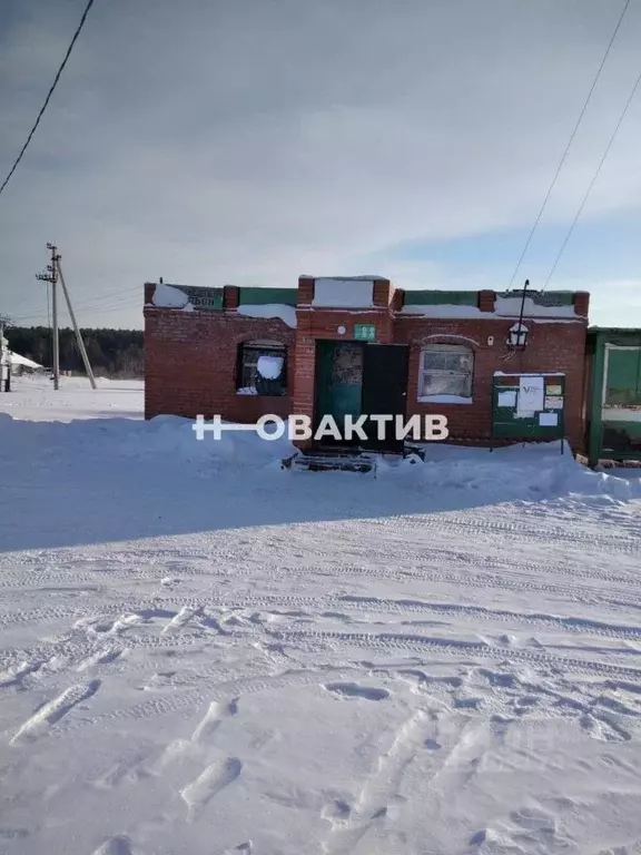 Торговая площадь в Новосибирская область, Ордынский район, д. ... - Фото 0