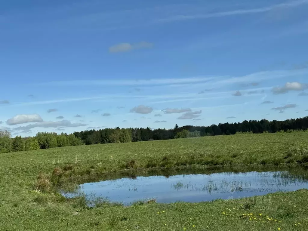 Участок в Калининградская область, Багратионовский муниципальный ... - Фото 1