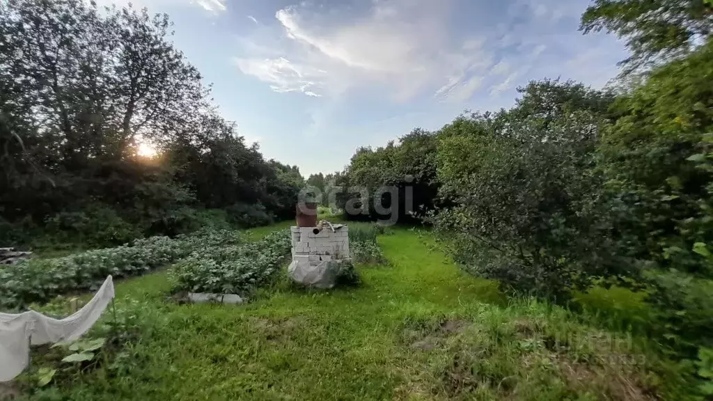 Участок в Владимирская область, Ковровский район, Новосельское с/пос, ... - Фото 2