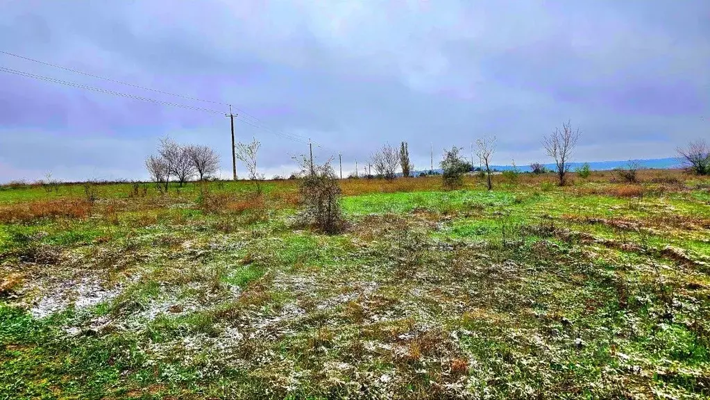 Участок в Крым, Ялта ул. Ореховая (56.0 сот.) - Фото 2