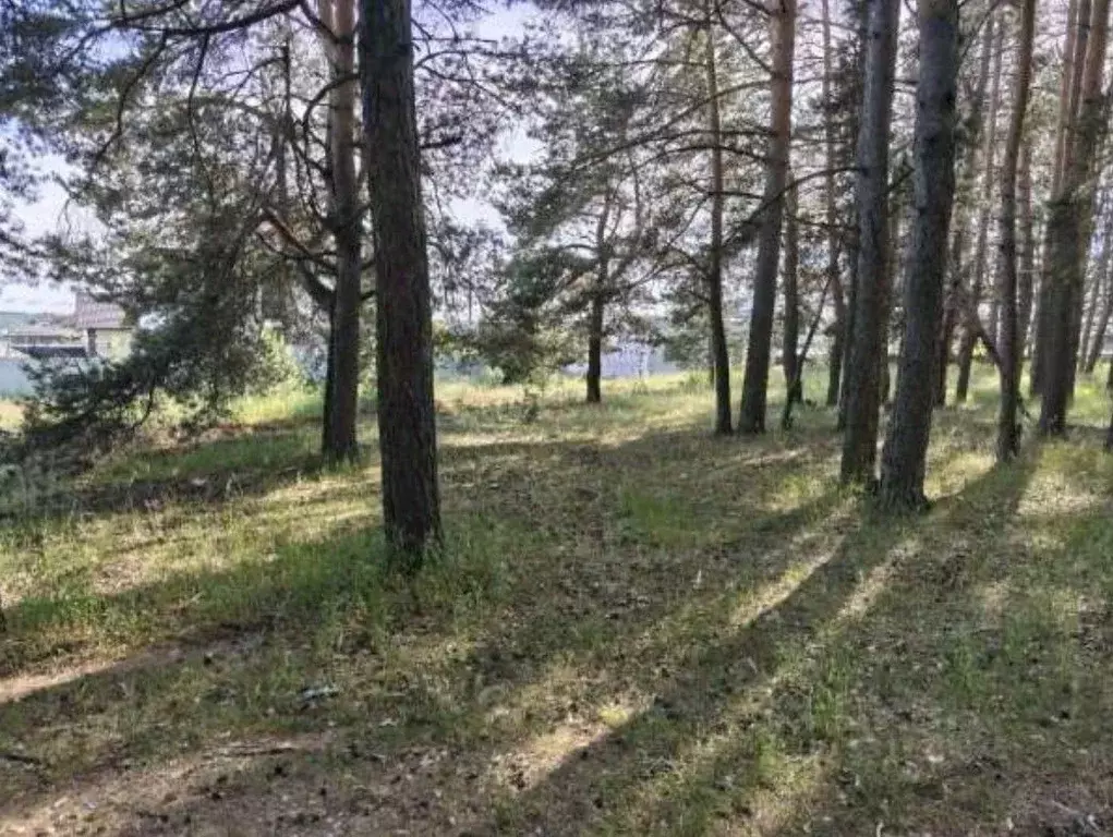 Участок в Московская область, Озеры Коломна городской округ, Весенняя ... - Фото 2
