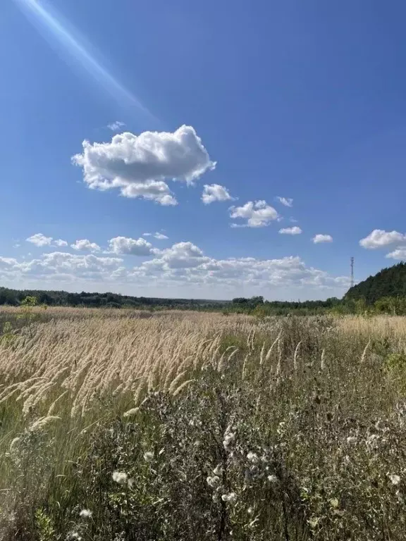 Участок в Нижегородская область, Богородский муниципальный округ, д. ... - Фото 0