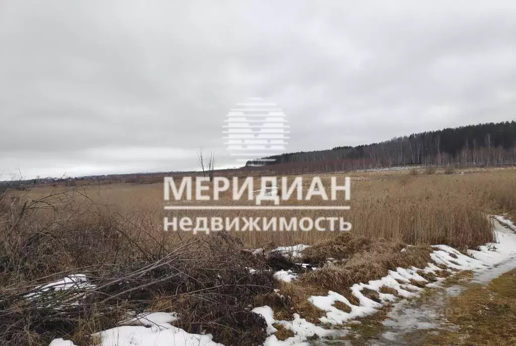 Кстовский р-н, д. Горный борок. Горный борок в кстовском районе. Деревня горный борок. Горный борок в кстовском районе.