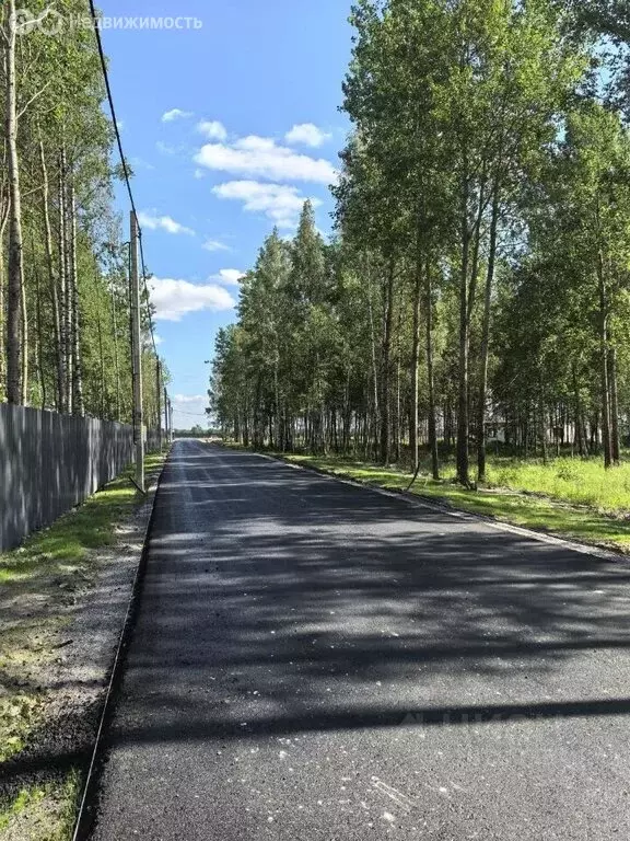 Участок в Павловск (6.1 м) - Фото 2