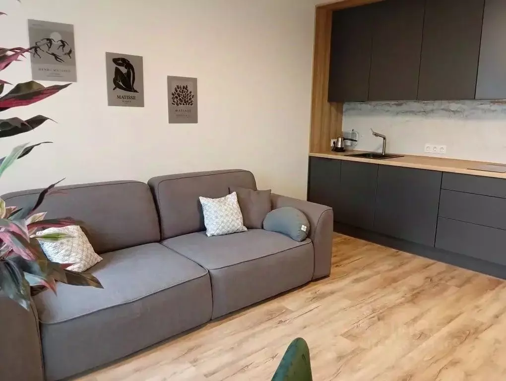 Студия Ленинградская область, Ломоносовский район, Виллозское ... - Фото 2