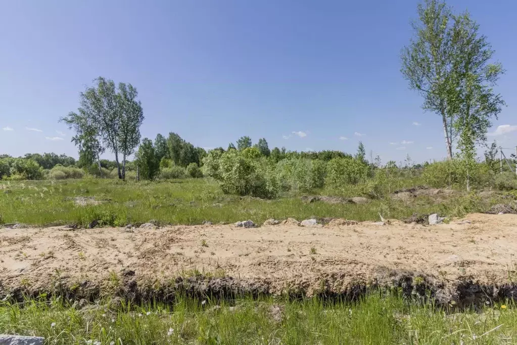 Участок в Тюменская область, Нижнетавдинский муниципальный округ, ... - Фото 1