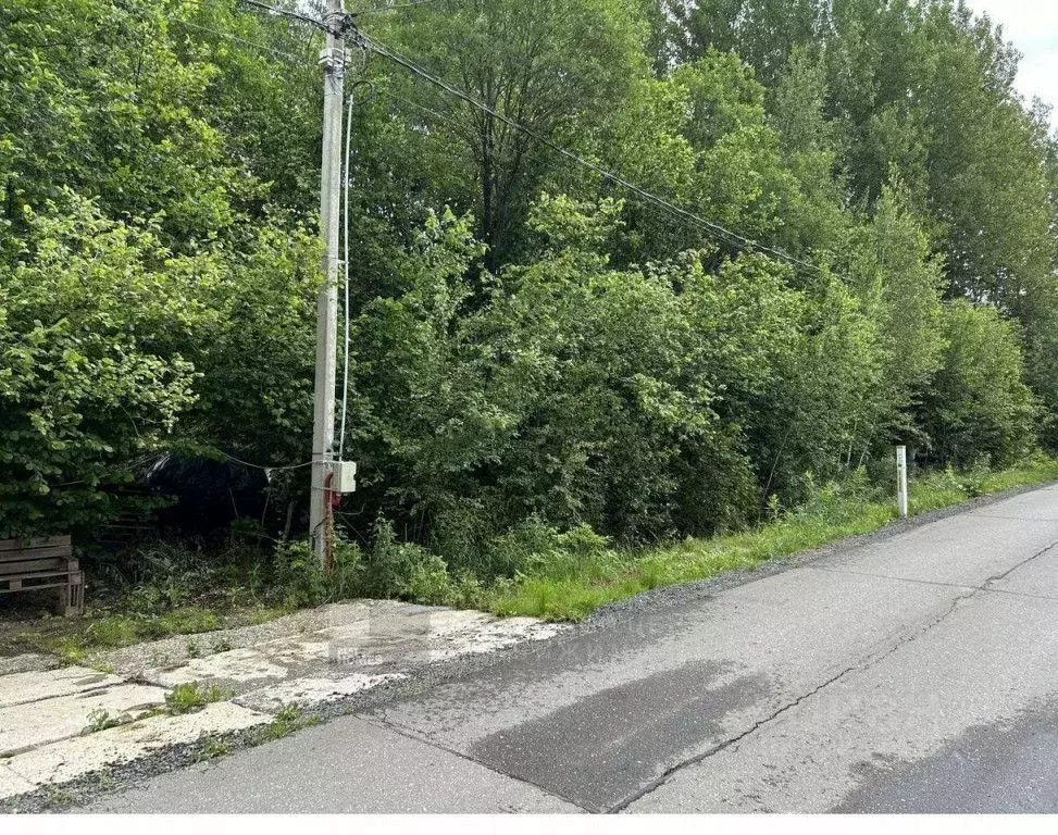 Участок в Московская область, Одинцовский городской округ, ... - Фото 1