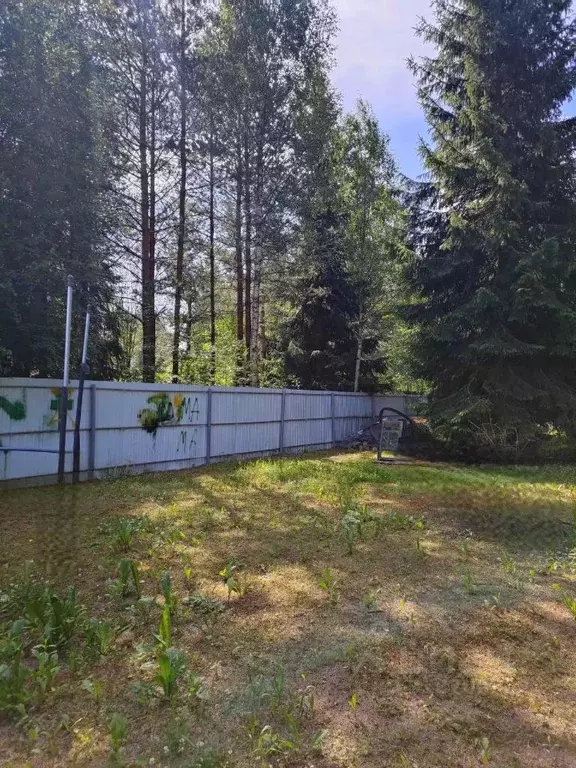 Участок в Московская область, Можайский муниципальный округ, Форест ... - Фото 0