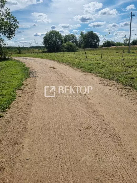 Участок в Ивановская область, Ивановский муниципальный округ, д. ... - Фото 1