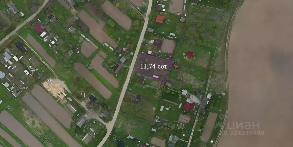 Участок в Ленинградская область, Лужский район, Заклинское с/пос, д. ... - Фото 2