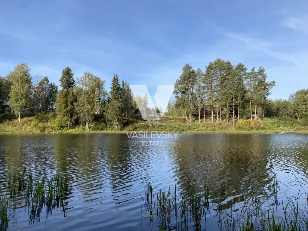 Участок в Тверская область, Вышневолоцкий городской округ, пос. ... - Фото 0