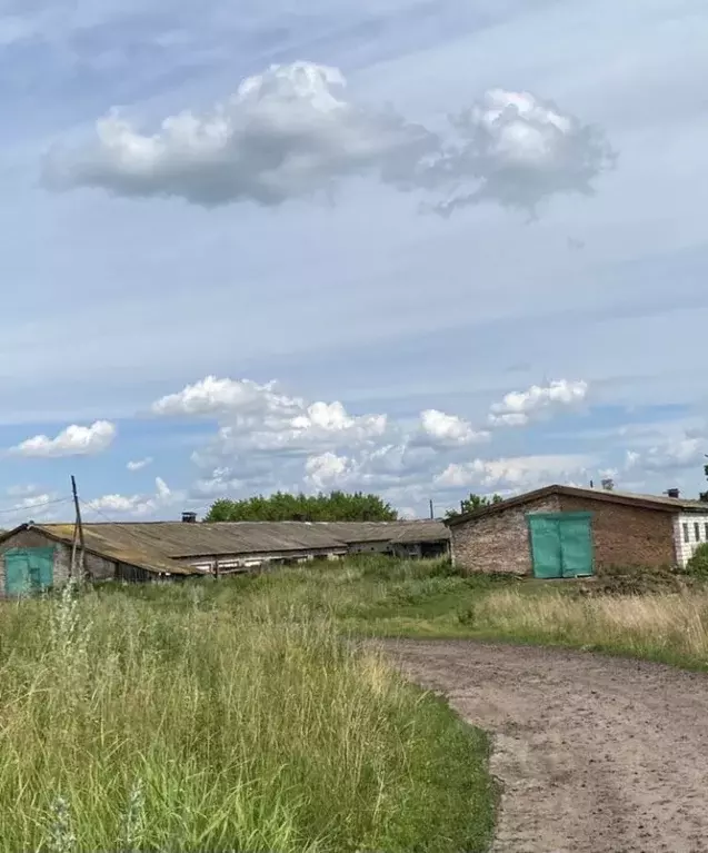 Участок в Курская область, Дмитриевский район, Старогородский ... - Фото 1