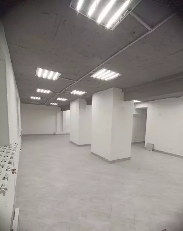 Помещение свободного назначения в Новосибирская область, Новосибирск ... - Фото 1