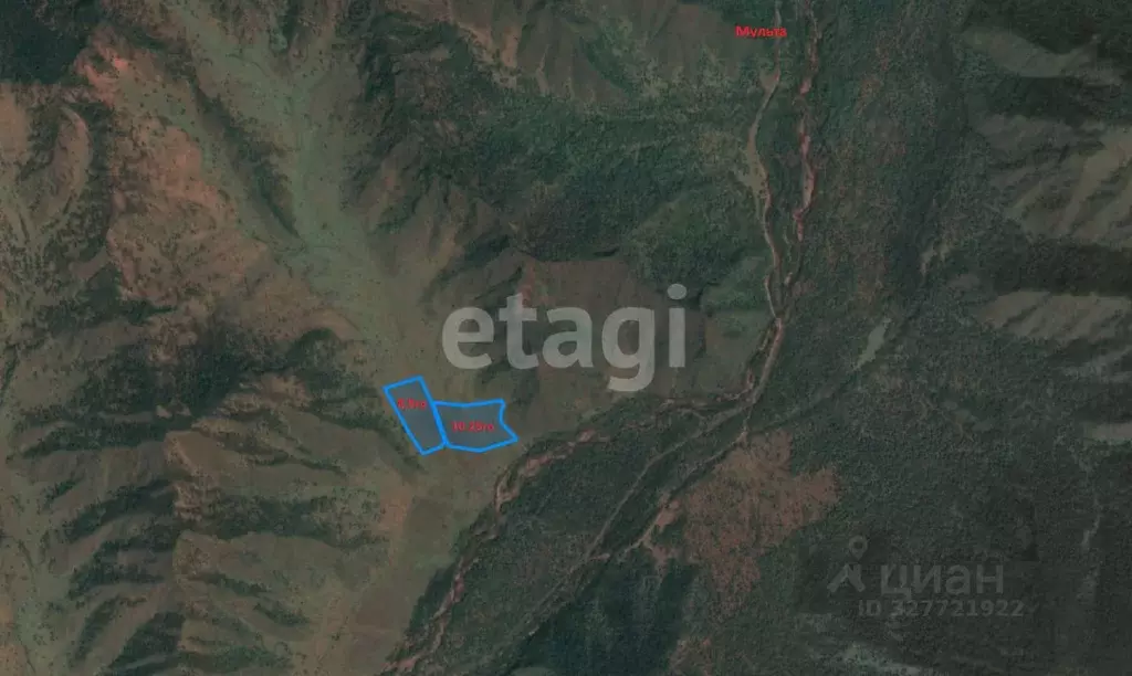 Участок в Алтай, Усть-Коксинский район, с. Верх-Уймон Молодежная ул., ... - Фото 2