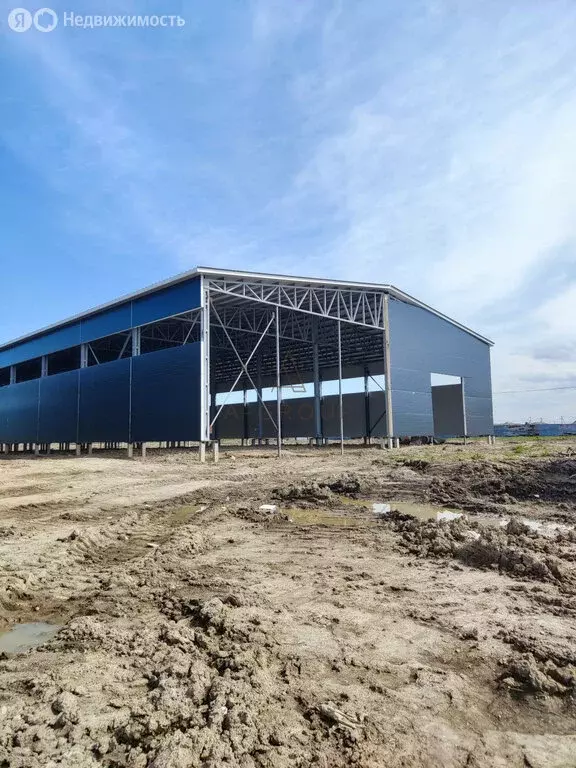 Склад (1500 м) - Фото 1