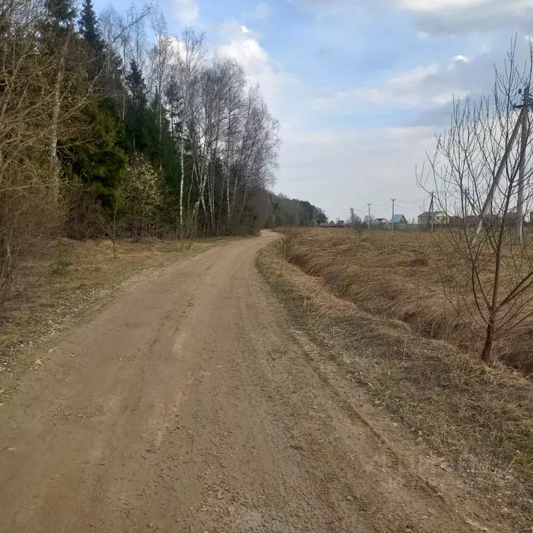 Участок в Московская область, Серпухов городской округ, д. Тверитино, ... - Фото 0