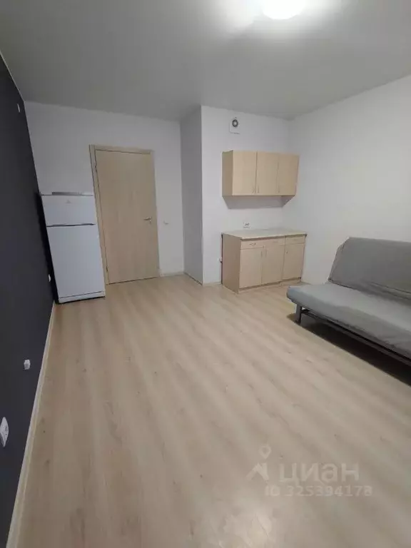 Студия Санкт-Петербург бул. Александра Грина, 3 (24.5 м) - Фото 2