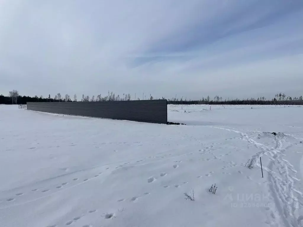 Участок в Воронежская область, Рамонский район, с. Ямное, Титимитино ... - Фото 1