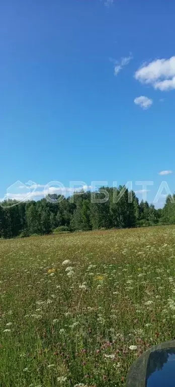 Участок в Тюменская область, Тюменский район, с. Кулаково  (10.0 сот.) - Фото 0