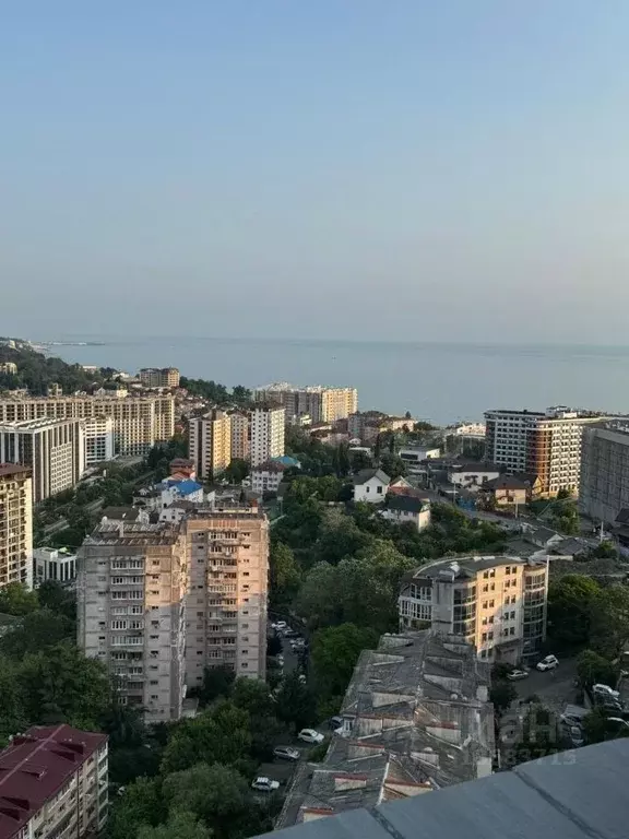 Студия Краснодарский край, Сочи Ландышевая ул., 12/7 (30.0 м) - Фото 0