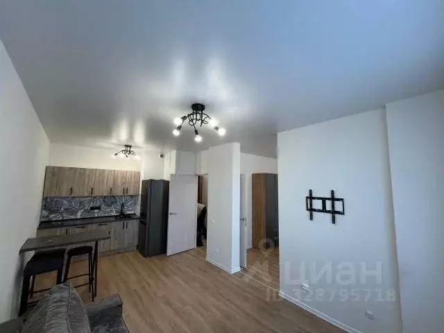 1-к кв. Московская область, Ленинский городской округ, д. Жабкино, ... - Фото 1