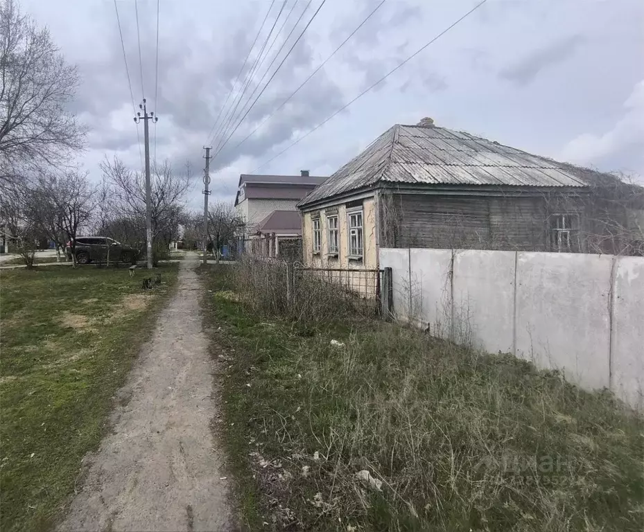 Участок в Белгородская область, Алексеевка ул. Маяковского, 45 (15.0 ... - Фото 1
