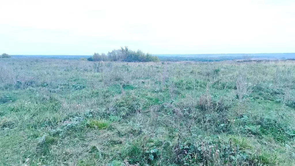 Участок в Балашовский район, Хопёрское муниципальное образование, село ... - Фото 2