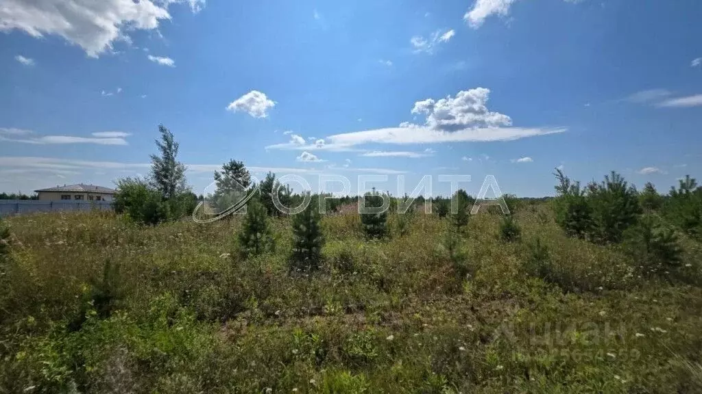 Участок в Тюменская область, Тюменский муниципальный округ, ... - Фото 2