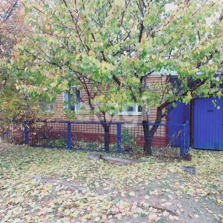 Дом в Белгородская область, Алексеевка Подлесная ул., 23 (70 м) - Фото 0