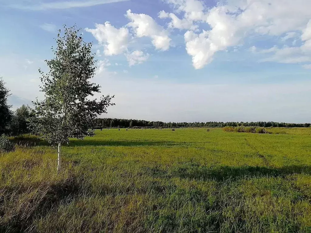 Участок в Тюменская область, Тюменский район, с. Кулига ул. Даниила ... - Фото 0