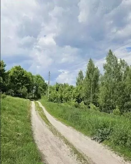 Участок в Брянская область, Жуковский муниципальный округ, с. Овстуг ... - Фото 1