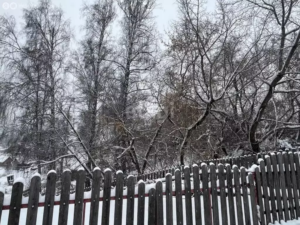 Участок в Новосибирский район, село Раздольное (6.2 м) - Фото 1