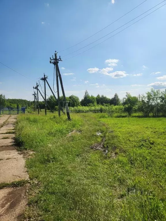 Участок в Владимирская область, Суздальский район, с. Новоалександрово ... - Фото 1