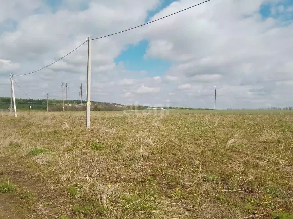 Участок в Липецкая область, Липецкий муниципальный округ, с. Частая ... - Фото 2