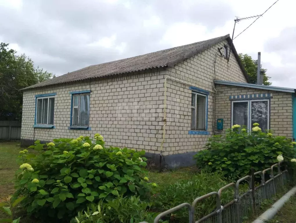 Дом в Белгородская область, Вейделевский район, с. Закутское ул. ... - Фото 1