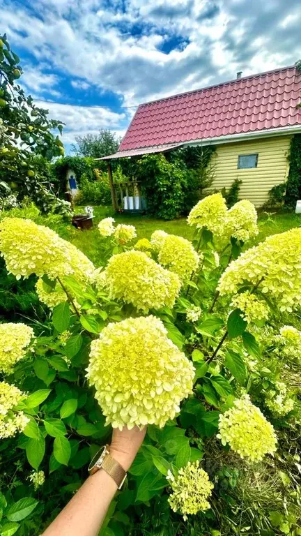 Дом в Челябинская область, Сосновский район, Долгодеревенское с/пос, ... - Фото 2