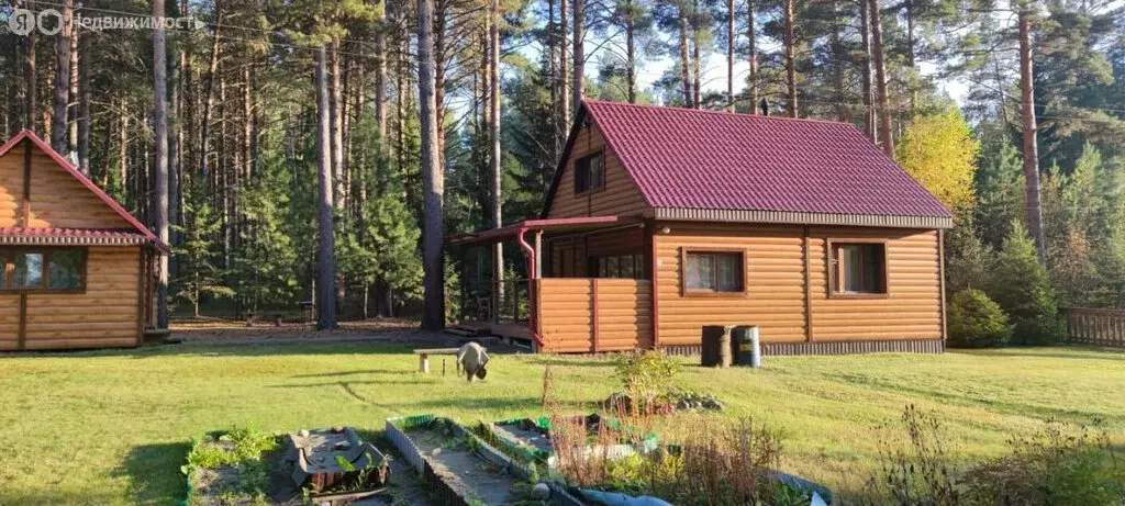 Дом в Шегарский район, деревня Кулманы (18 м) - Фото 1