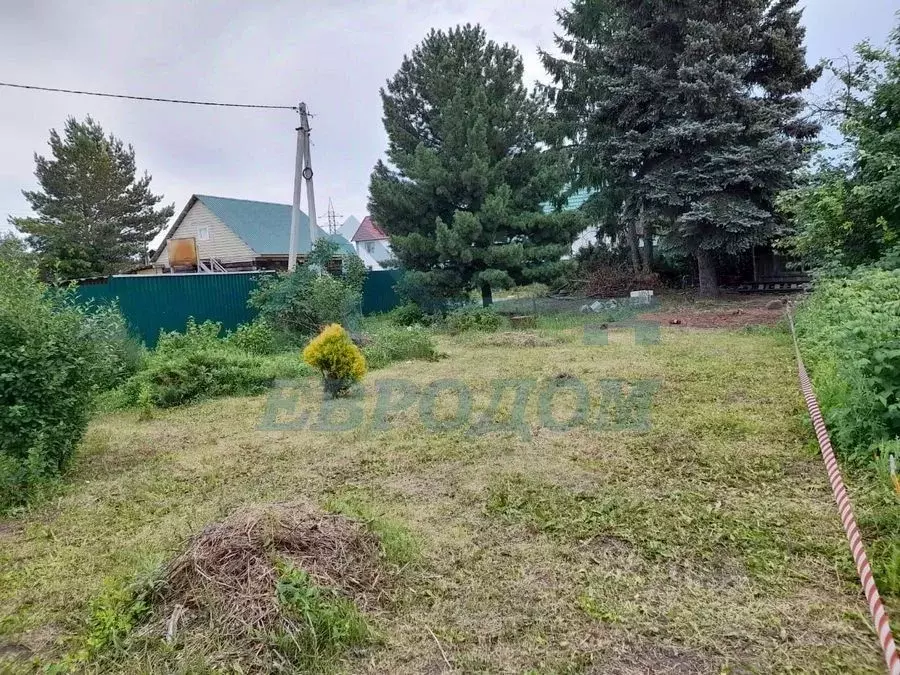 Участок в Новосибирская область, Новосибирск Рабис СНТ, 47 (4.0 сот.) - Фото 1