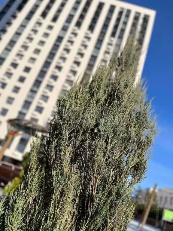 2-к кв. Башкортостан, Уфа ул. Рихарда Зорге, 17/2 (42.1 м) - Фото 2