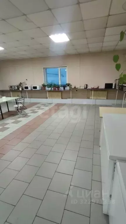 Помещение свободного назначения в Коми, Усинск Магистральная ул., 13/1 ... - Фото 2