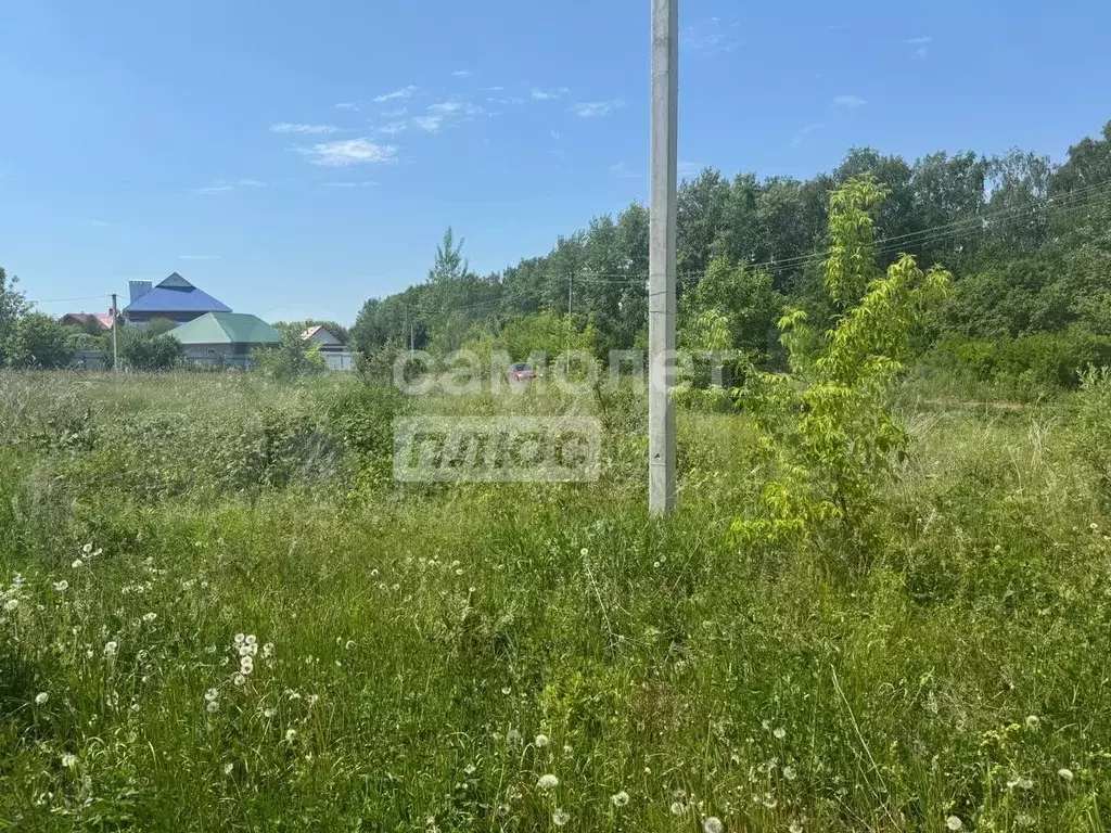 Участок 14,96 га (ИЖС) - Фото 0