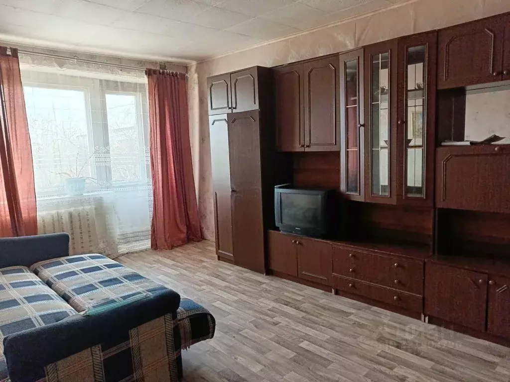 1-к кв. Нижегородская область, Кстово ул. Ступишина, 3 (29.6 м) - Фото 0